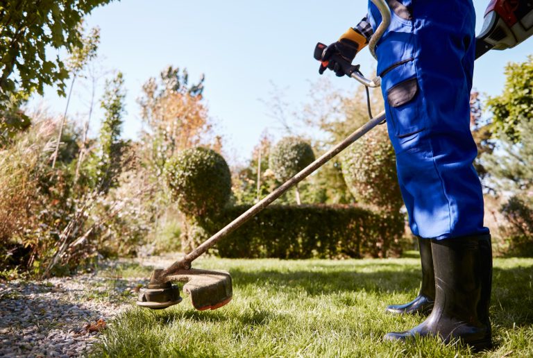 The Secret Life of Your Lawn: Unleashing the Power of Maintenance