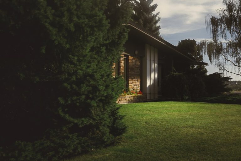 The Secret Life of Your Lawn: Unleashing the Power of Maintenance