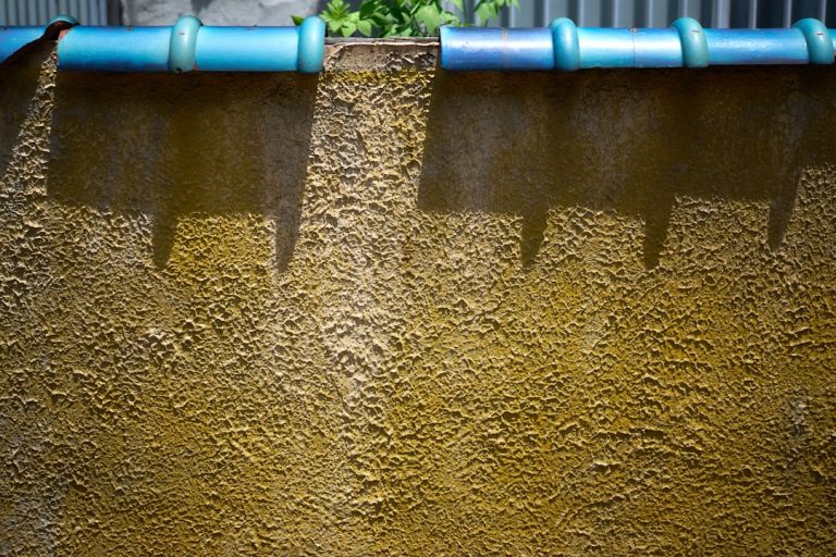 Transform Your Yard: The Ultimate Guide to Sod Installation Success